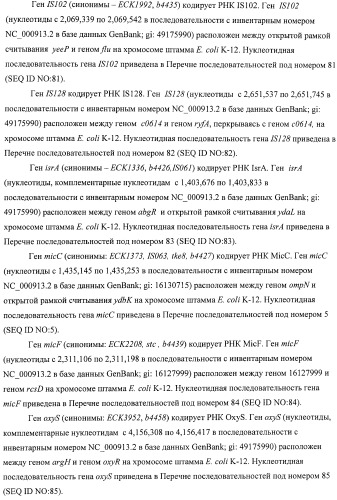 Способ получения l-аминокислот с использованием бактерии, принадлежащей к роду escherichia, в которой инактивирован один или несколько генов, кодирующих малые рнк (патент 2395567)