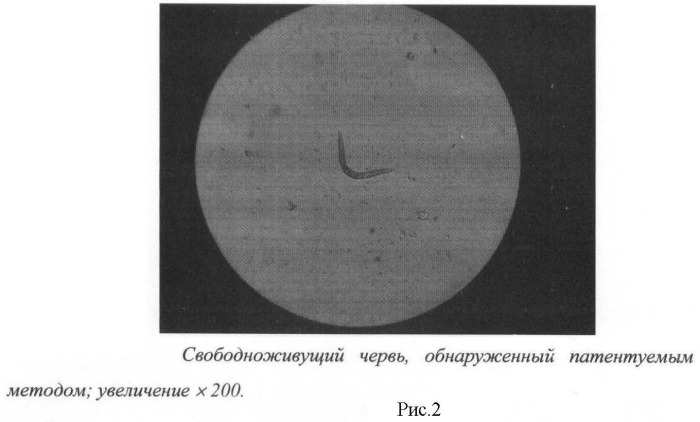 Способ выявления яиц гельминтов, клещей и ооцист простейших в пробах почвы (патент 2466388)