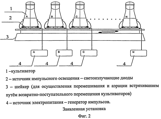 Способ культивирования фототрофов и установка для его осуществления (патент 2450049)