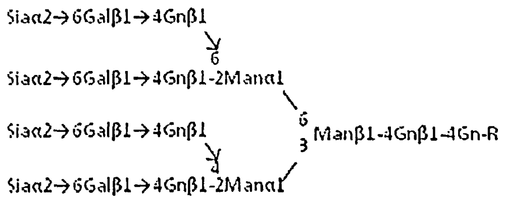 Способы получения сахарной цепи, содержащей сиаловую кислоту (патент 2597975)
