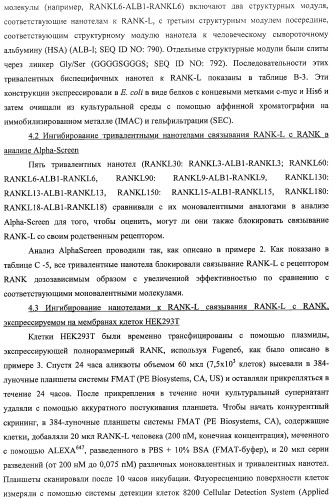 Аминокислотные последовательности, направленные на rank-l, и полипептиды, включающие их, для лечения заболеваний и нарушений костей (патент 2481355)