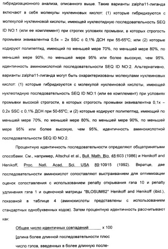 Выделенный полипептид, связывающий рецептор zalpha11-лиганда (варианты), кодирующий его полинуклеотид (варианты), вектор экспрессии (варианты) и клетка-хозяин (варианты) (патент 2346951)