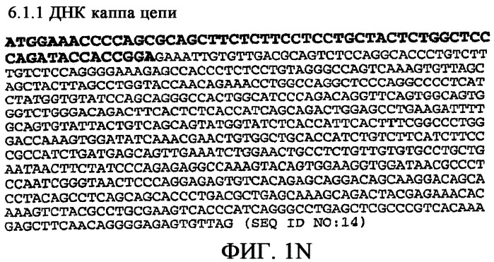 Применение антител к ctla-4 (патент 2346702)