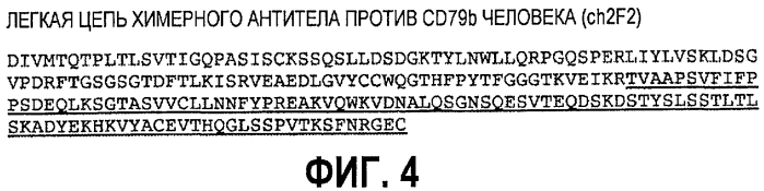 Гуманизированные антитела против cd79b и иммуноконъюгаты и способы применения (патент 2557319)