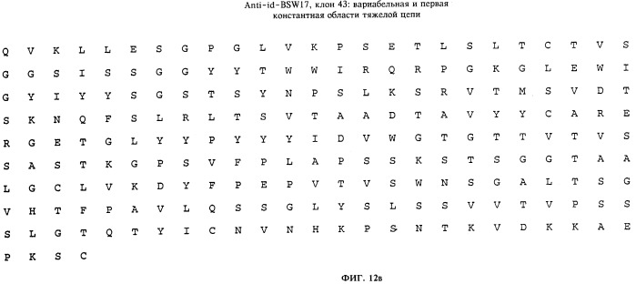 Антиидиотипическое антитело к антителам, ингибирующим связывание иммуноглобулина с его высокоаффинным рецептором (патент 2253655)