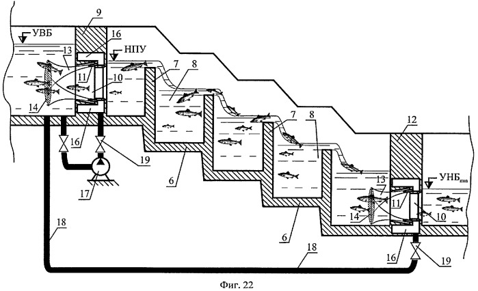Способ пропуска рыб через рыбоход из нижнего бьефа гидроузла в верхний бьеф (варианты) (патент 2377365)