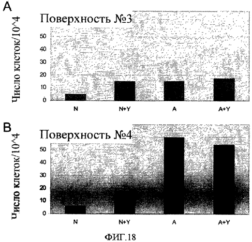 Способы, поверхностно-модифицированные носители и композиции для иммобилизации, культивирования и открепления клеток (патент 2551772)