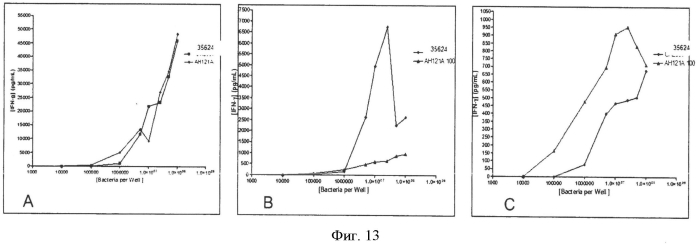 Штамм bifidobacterium longum, пригодный для применения в иммуномодуляции, индукции продукции цитокинов, лечении аутоиммунного заболевания, контроле отношения il - 10:il - 12, и его использование (патент 2557310)