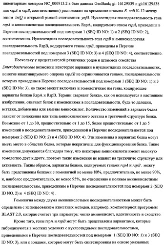 Способ получения l-треонина с использованием бактерии, принадлежащей к роду escherichia, в которой инактивирован оперон rspab (патент 2337961)