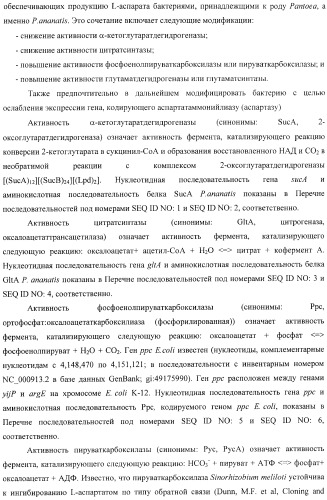 Бактерия, принадлежащая к роду pantoea, - продуцент l-аспартата или метаболита, являющегося производным l-аспартата, и способ получения l-аспартата или метаболита, являющегося производным l-аспартата (патент 2411289)