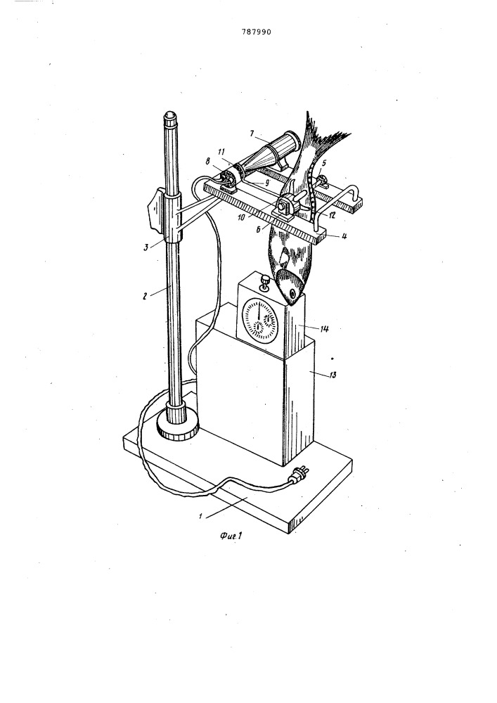 Устройство для определения момента инерции рыб (патент 787990)