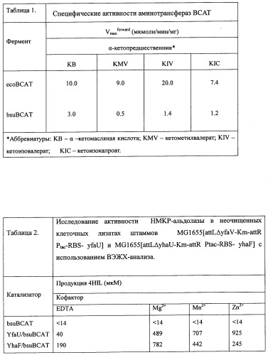 Способ производства 4-гидрокси-l-изолейцина или его соли (патент 2355767)