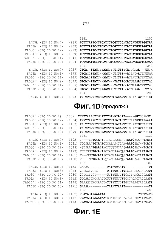 Локусы fad3 для выполнения операций и соответствующие связывающиеся со специфическими сайтами-мишенями белки, способные к вызову направленных разрывов (патент 2665811)
