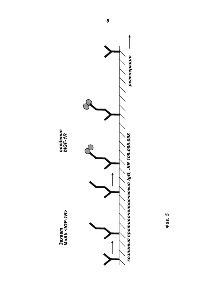 Антигенсвязывающие белки (патент 2607038)