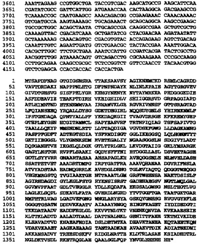 Гетерологичная экспрессия белков neisseria (патент 2299906)