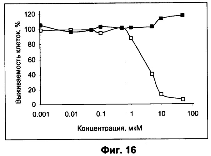 Водорастворимые анионсодержащие производные бактериохлорофилла и их применение (патент 2353624)