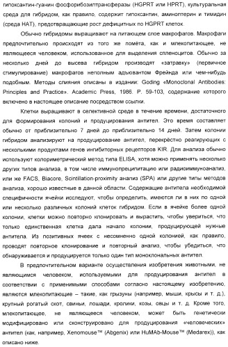 Антитела, связывающиеся с рецепторами kir2dl1,-2,-3 и не связывающиеся с рецептором kir2ds4, и их терапевтическое применение (патент 2410396)