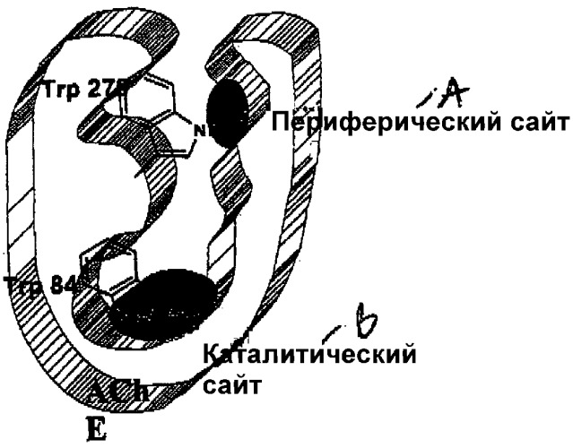 Ингибиторы двух сайтов связывания ацетилхолинэстеразы для лечения болезни альцгеймера (патент 2325379)