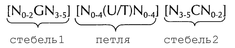 Искусственные молекулы нуклеиновых кислот для улучшенной экспрессии белков или пептидов (патент 2658490)