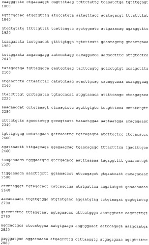 Иммортализованная клеточная линия птиц (патент 2475536)