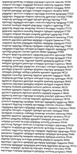 Модуляция экспрессии гентингтина (патент 2562861)