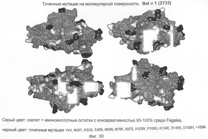 Новые мутантные аллергены (патент 2285042)