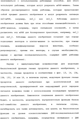 Ее3-семейство белков и соответствующие днк-последовательности (патент 2333918)