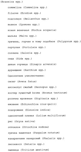 Композиция глифосата калия (патент 2335899)