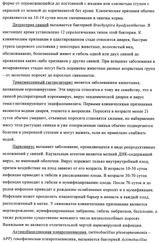 Поливалентные иммуногенные композиции pcv2 и способы получения таких композиций (патент 2488407)