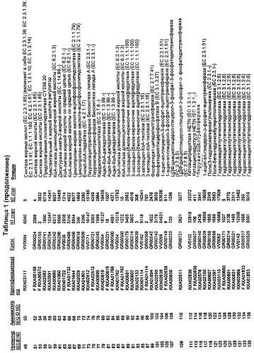 Гены corynebacterium glutamicum, кодирующие белки, участвующие в синтезе мембран и мембранном транспорте (патент 2312145)