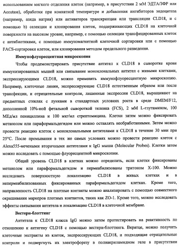 Моноклональные антитела к клаудину-18 для лечения рака (патент 2445319)