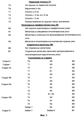 Лечение метастатического рака молочной железы (патент 2434640)