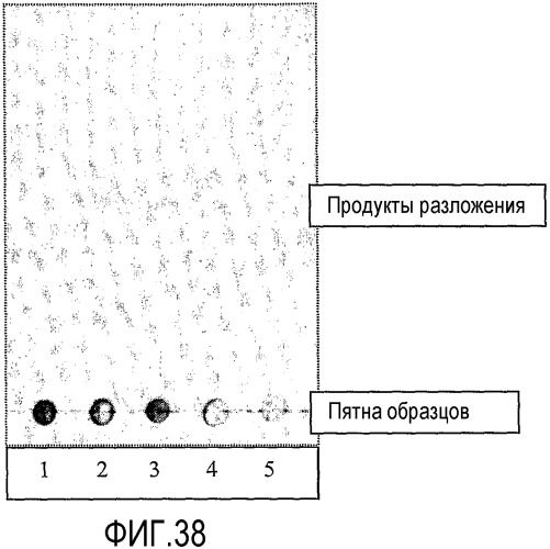 Способ (патент 2376868)