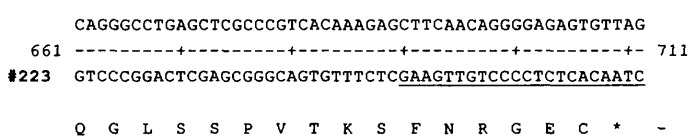 Антагонистические антитела к il-17 (патент 2426741)