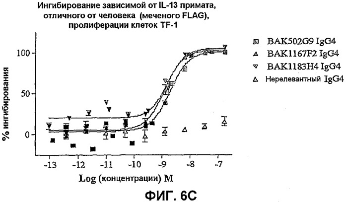 Молекулы антител человека к il-13 (патент 2387667)