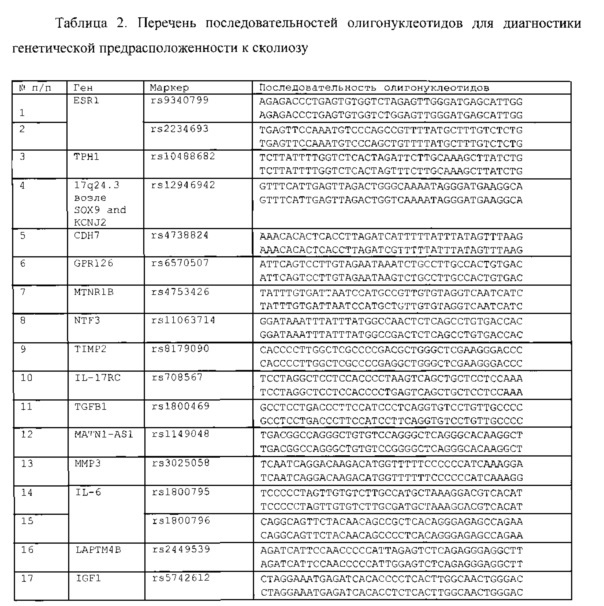 Способ экспресс-анализа генетического полиморфизма для выявления генетической предрасположенности к раку молочной железы (патент 2617936)