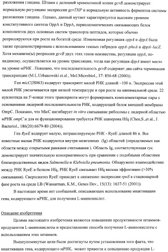 Способ получения l-аминокислот с использованием бактерии, принадлежащей к роду escherichia, в которой инактивирован один или несколько генов, кодирующих малые рнк (патент 2395567)