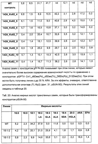 Способ получения полиненасыщенных кислот жирного ряда в трансгенных организмах (патент 2447147)