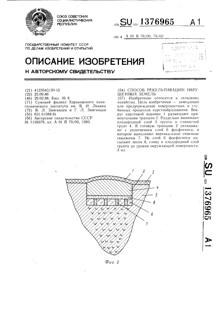 Способ рекультивации нарушенных земель (патент 1376965)