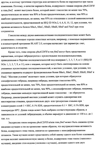 Способ получения l-треонина с использованием бактерии, принадлежащей к роду escherichia, в которой инактивирован кластер генов sfmacdfh-fimz или ген fimz (патент 2333953)