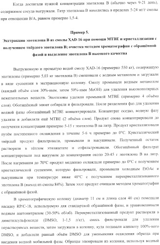Способы получения, выделения и очистки эпотилона b и рентгеноструктурные кристаллические структуры эпотилона в (патент 2368661)