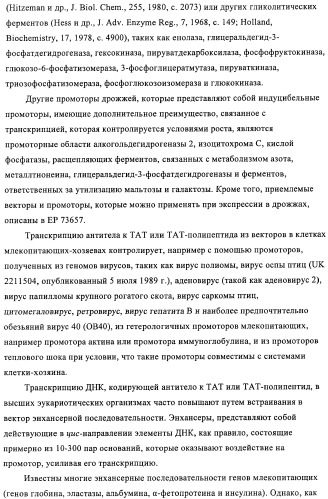 Композиции и способы диагностики и лечения опухоли (патент 2430112)