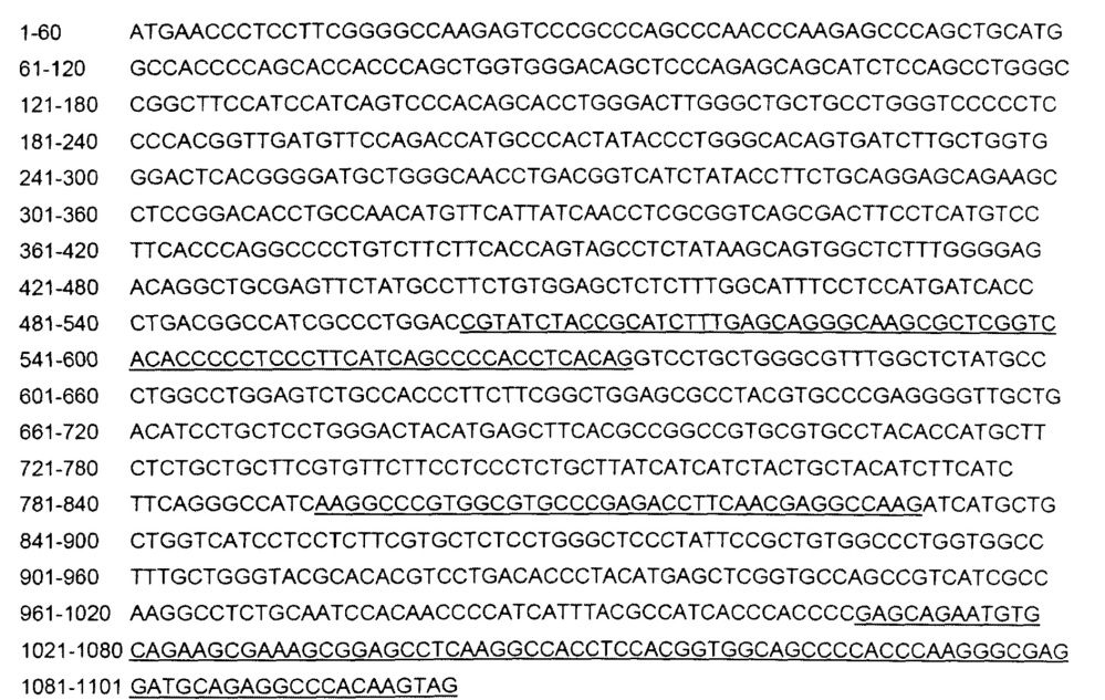 Светочувствительный химерный белок gpcr (патент 2637367)