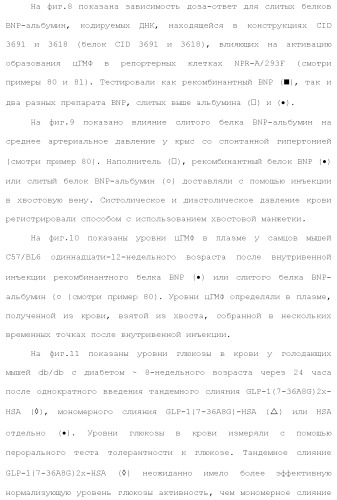 Слитые белки альбумина (патент 2369404)