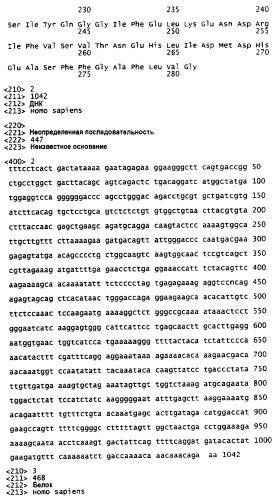 Комбинация apo2l/trail и ингибитора egfr для лечения рака, способ in vitro усиления апоптоза и применение комбинации для получения лекарственного средства для лечения рака (патент 2429006)