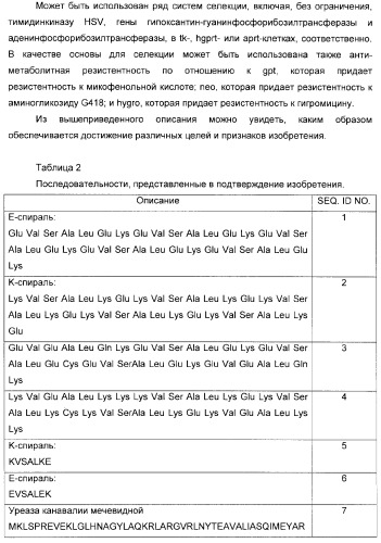 Использование уреазы для ингибирования роста раковых клеток (патент 2326691)