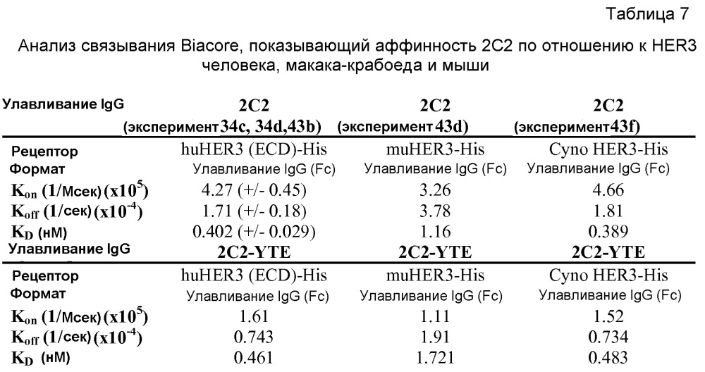 Связывающие молекулы, специфичные по отношению к her3, и их применения (патент 2620068)