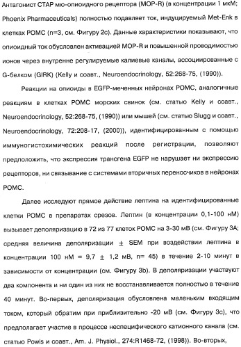 Способ модификации пищевого поведения и применение pyy или его агониста в качестве средства для модификации пищевого поведения (патент 2317104)