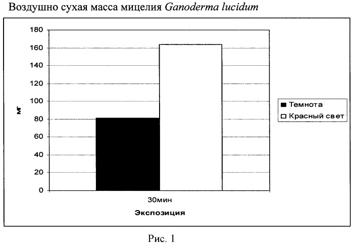 Способ выращивания мицелия ganoderma lucidum (патент 2446206)