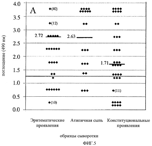 Вакцина против лаймской болезни собак (патент 2460538)